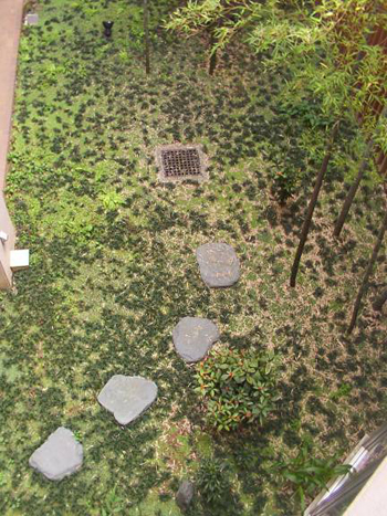 中庭改修工事　作業前