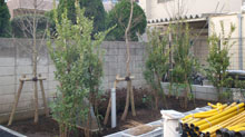 植栽工事