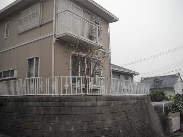 つた取り　作業後